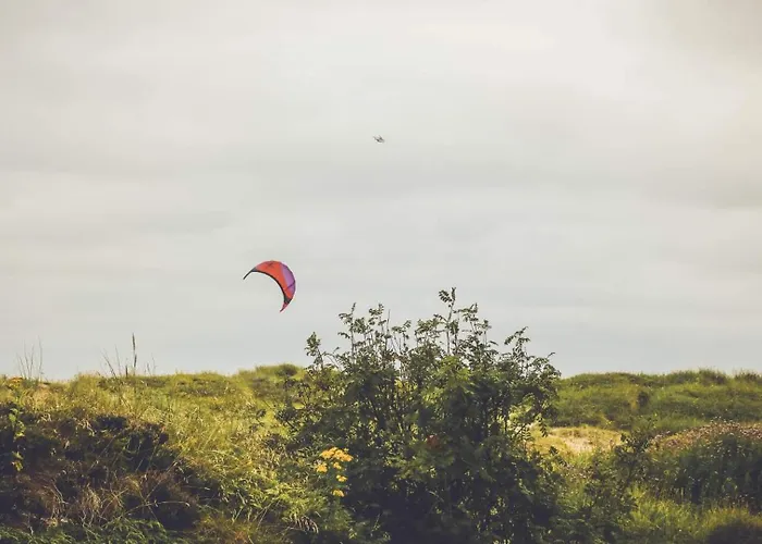 Center Getaway - 6 By Berti